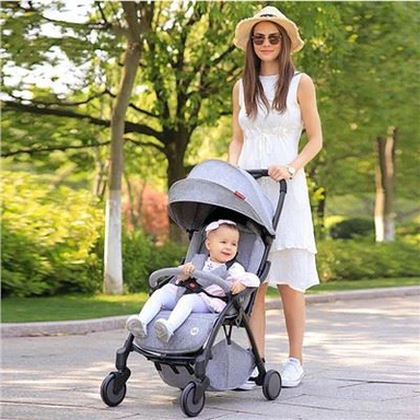Sistema de viagem pushchair